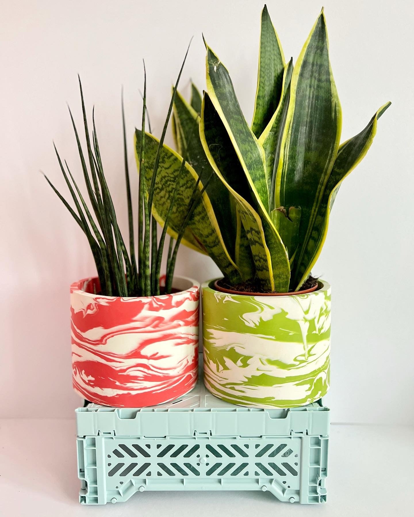 Indoor Planters - Choose from Pink or Lime Green Marbled planters