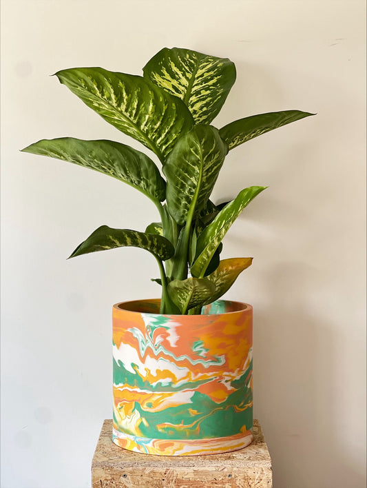 Oasis Marbled XL Indoor Planter