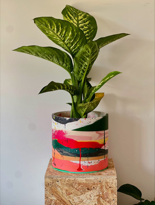 Zero Waste XL Indoor Planter | Made with by-product from other orders
