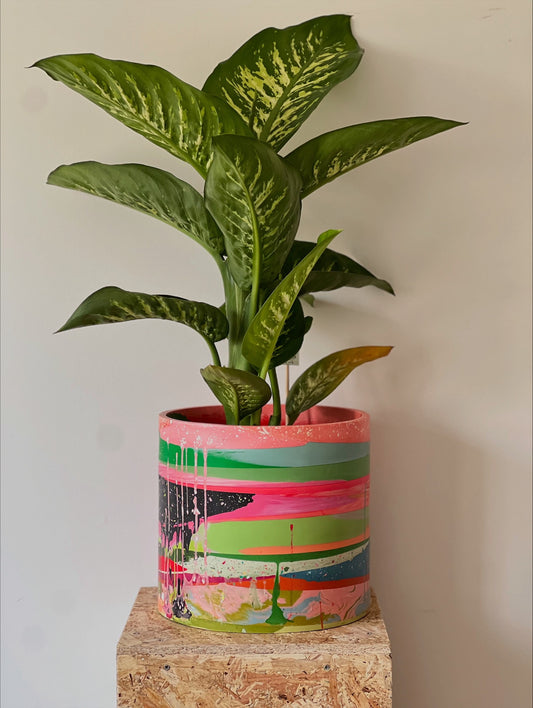 Zero Waste XL Indoor Planter | Made with by-product from other orders (Copy)