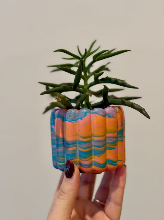 Marbled Sunset Scalloped Mini Planter
